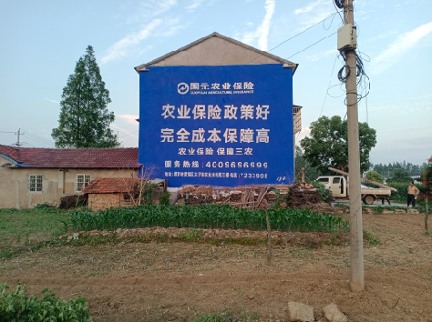 灵山墙体广告的优劣势你知道吗？